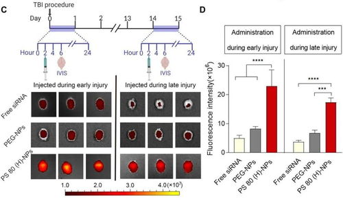 science子刊 哈佛团队开发新型纳米递送系统,成功突破血脑屏障治疗脑病丨医麦客黑科技